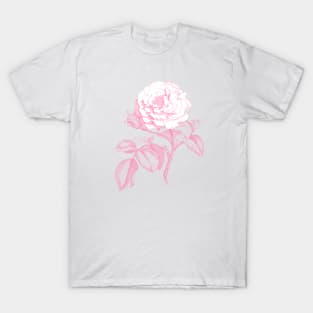 Pink Rose Monochrome Illustration T-Shirt